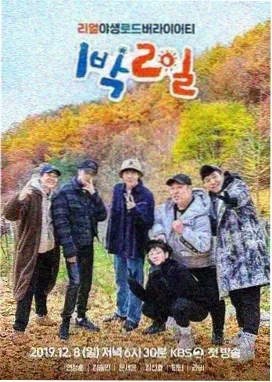 职场竞技综艺